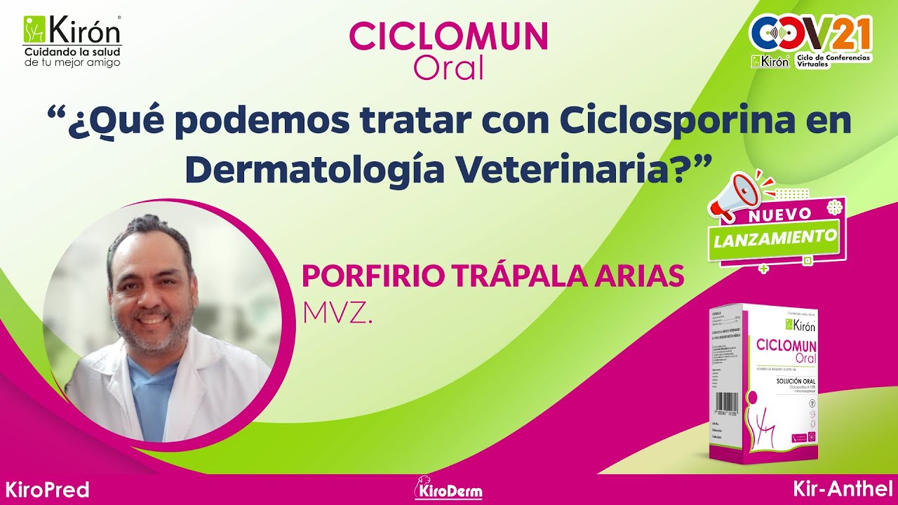 ¿Qué podemos tratar con Ciclosporina en Dermatología Veterinaria?