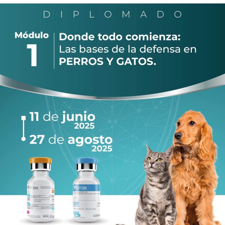 Diplomado inmunología_MOD1