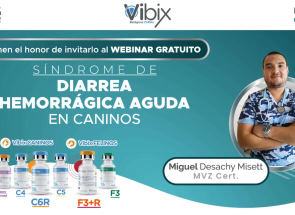 Webinar_Diplomado_PORTADA YouTube - Zoom (1)