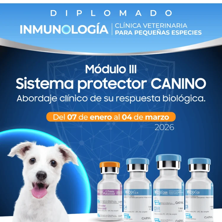 Diplomado inmunología__MOD3
