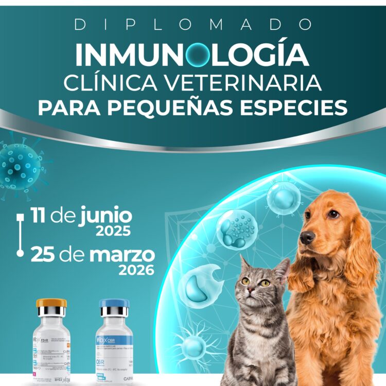Diplomado inmunologiìa_1_Portada