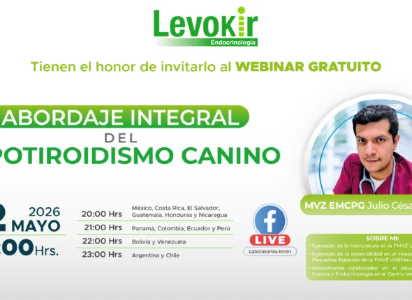 LEVOKIR Portada Sitio Web Zoom Scaled