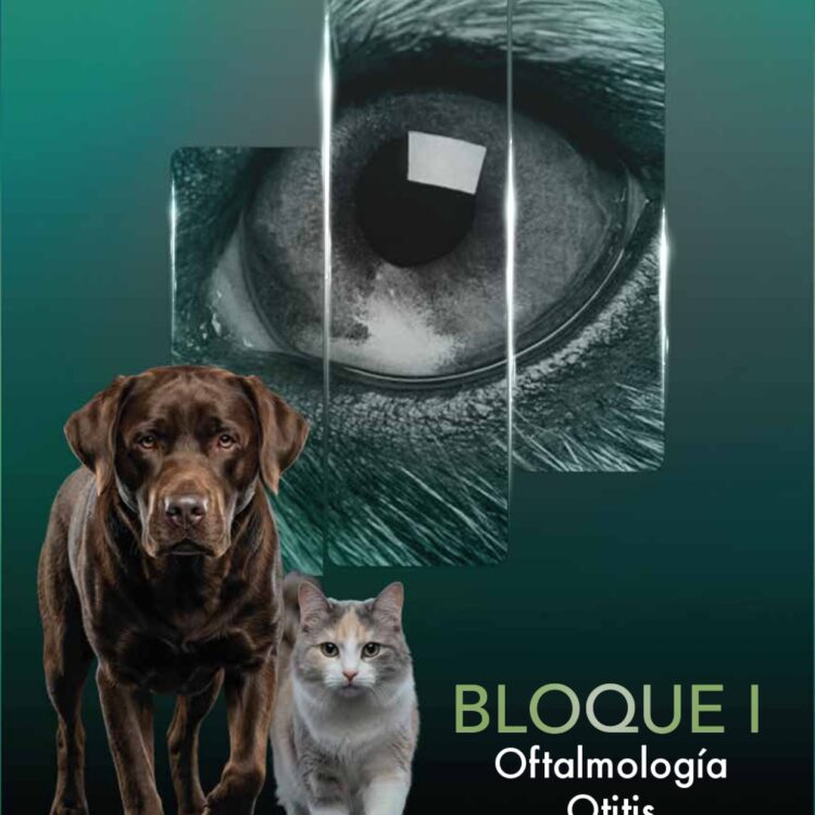 1 Portada