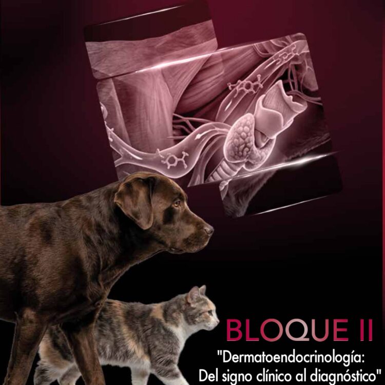 1 portada (1)